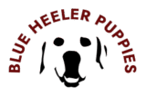 cropped logo.png